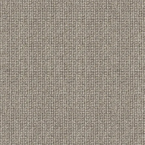 Sumptuous carpet swatch